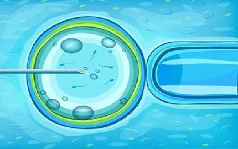 试管备孕裙代生